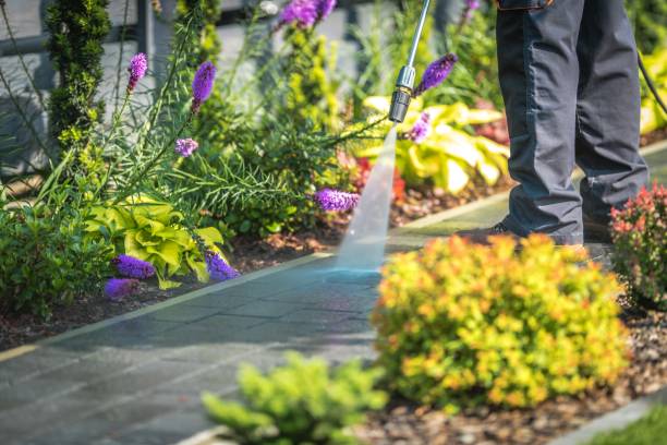 Best Patio and Deck Pressure Washing  in Plainview, TX